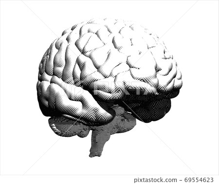 Engraving brain illustration isolated on white BG - Stock Illustration ...