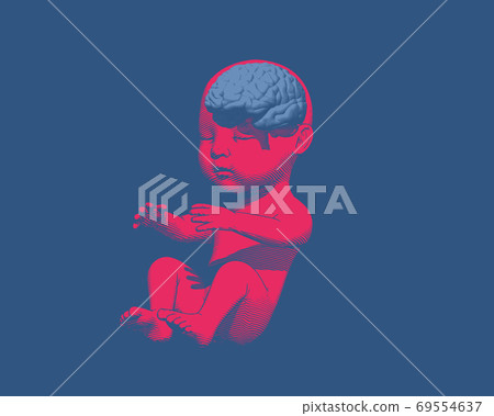 Human fetus with brain demostration on blue BG 69554637