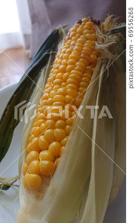 玉米 玉米 69556268