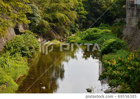 River (Photography) 69556385