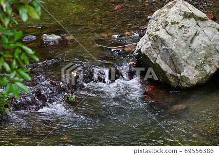 Landscape photography of the river in nature 69556386