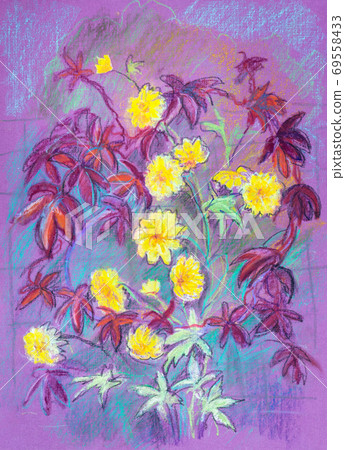 red climbing plant 69558433