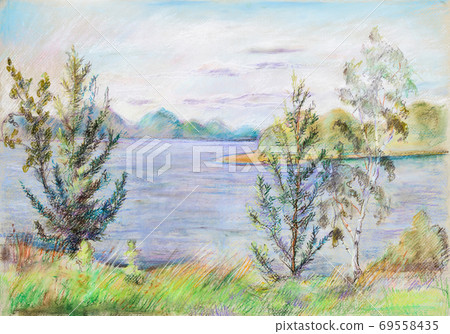 spruces on  bank of wide river Volga 69558435