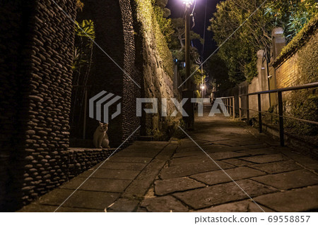 Nagasaki City, Nagasaki Prefecture Minamiyamate Night steadily 69558857