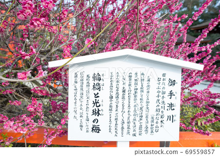 下鴨神社 御手洗河的 雨林 和小富田 照片素材 圖片 圖庫