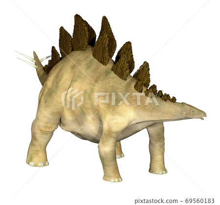 Stegosaur ☆ Stegosaur 69560183
