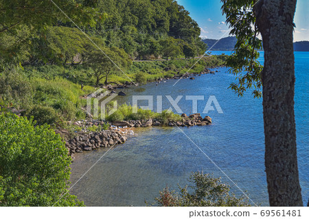 琵琶湖夏季湖畔 琵琶湖夏季湖畔 69561481