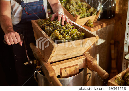 Skillful winery worker using a wooden grape crusher 69563318