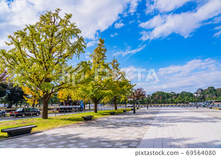 （東京）Wadakura Gate的銀杏樹秋葉 69564080