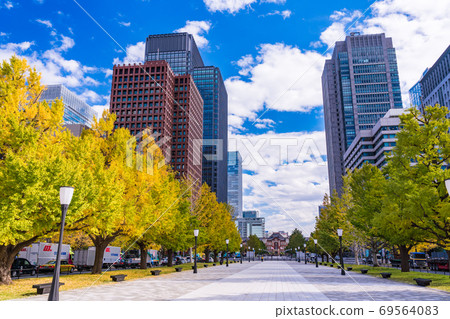 （東京）Wadakura Gate的銀杏樹秋葉 69564083