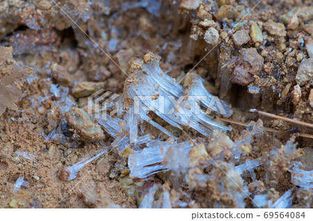 一個寒冷的早晨 69564084