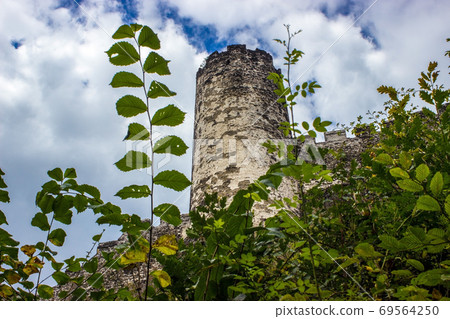 View of tower of Bezdez castle View of tower of Bezdez castle 69564250
