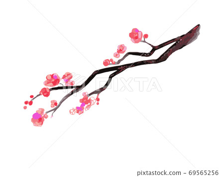 New Year's plum branch New Year's plum branch 69565256