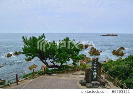 Kinosaki Marine World Kinosaki Marine World 69565331