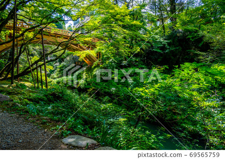 Korogi Bridge (2019 / First year of Reiwa after the replacement is completed) Hokuriku Yamanaka Onsen 69565759