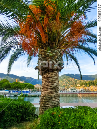 The building facade in Rapallo at Italy 69565917