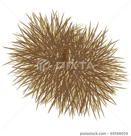 伊賀栗子 69566059