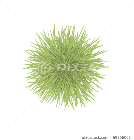 伊賀栗子 伊賀栗子 69566061