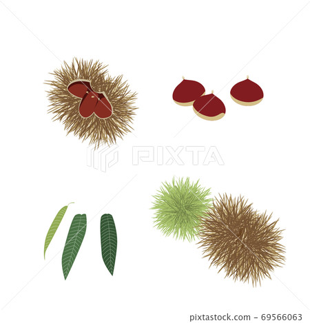 栗子和栗子一套 69566063