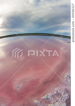 Dunaliella .salinas grandes.Argentina 69566327