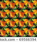 pineapple, pineapples, fruit 69566394