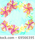 Hibiscus 69566395