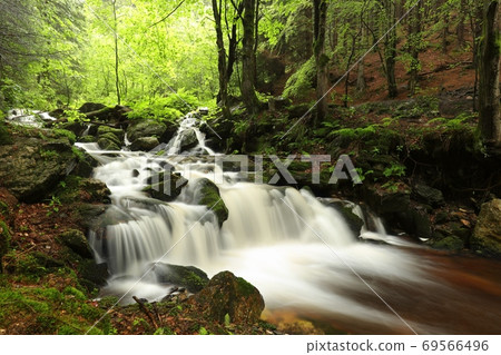 Forest stream flowing down from the mountains Forest stream flowing down from the mountains 69566496