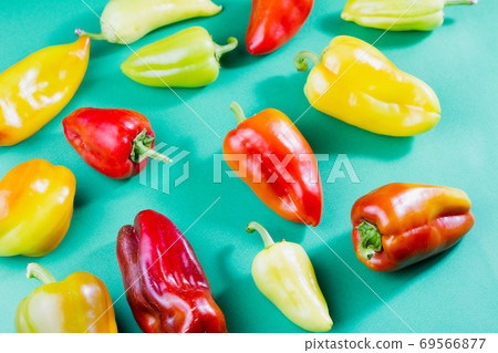 group of multi-colored ripe bell peppers lie  69566877