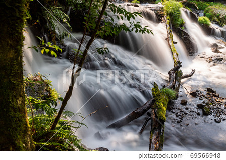 Scenery of a waterfall that falls in the Kikuchi valley, a clear stream in early summer Scenery of a waterfall that falls in the Kikuchi valley, a clear stream in early summer 69566948