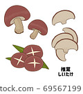 3 types of shiitake mushrooms 69567199