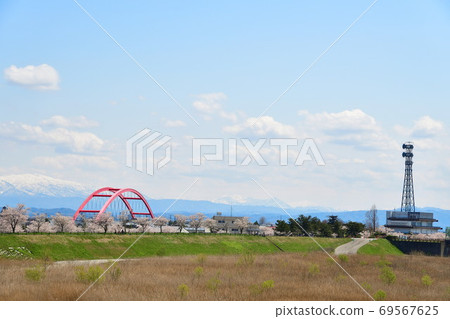 A row of cherry trees in the Okawazu branch water (Niigata Prefecture) A row of cherry trees in the Okawazu branch water (Niigata Prefecture) 69567625