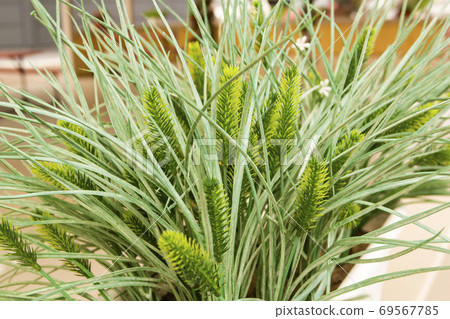 Beautiful flowers are used to decorate the interior of a summer cafe 69567785