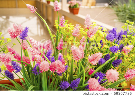 Beautiful flowers are used to decorate the interior of a summer cafe 69567786