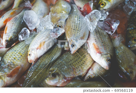 Mekong river fishes market. Mekong river fishes market. 69568119