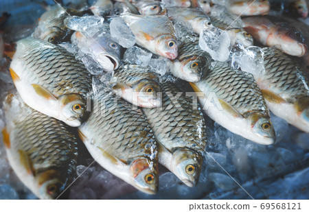 Mekong river fishes market. Mekong river fishes market. 69568121