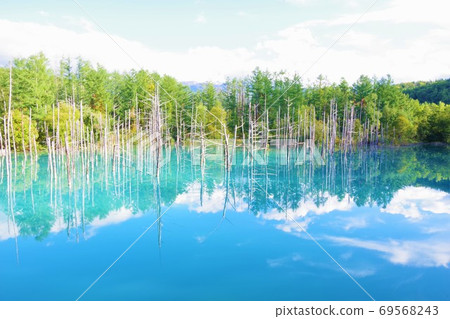 Shirogane Blue Pond, Biei Town, Hokkaido Shirogane Blue Pond, Biei Town, Hokkaido 69568243