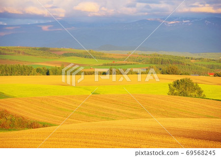 Biei-cho, Hokkaido, a patchwork road during the harvest season Biei-cho, Hokkaido, a patchwork road during the harvest season 69568245