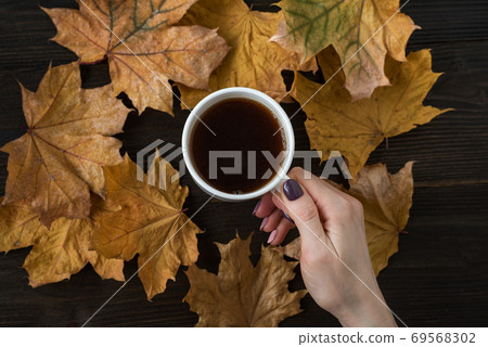 Female hand holding Cup of tea on autumn foliage background. Hot tea on wooden table with yellow autumn leaves Female hand holding Cup of tea on autumn foliage background. Hot tea on wooden table with yellow autumn leaves 69568302