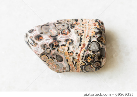 tumbled Leopard Skin Jasper, Jaguar Stone on white tumbled Leopard Skin Jasper, Jaguar Stone on white 69569355