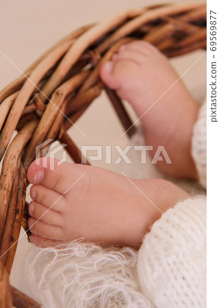 Photo of newborn baby feet, soft focus. Photo of newborn baby feet, soft focus. 69569877