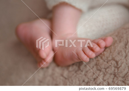 Photo of newborn baby feet, soft focus. Photo of newborn baby feet, soft focus. 69569879