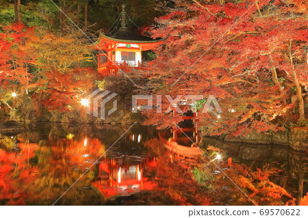 [京都府]大悟寺的秋葉（點亮） 69570622