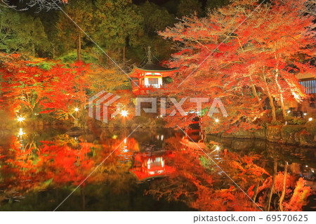 [Kyoto] Autumn leaves of Daigoji Temple (lighted up) 69570625