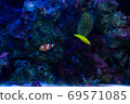 Photo at the aquarium 69571085