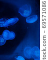 Photo at the aquarium 69571086