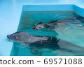 Photo at the aquarium 69571088