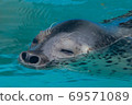 Photo at the aquarium 69571089