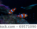 Photo at the aquarium 69571090