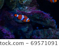 Photo at the aquarium 69571091