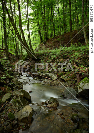 Serene mountain brook. Stream in the mountains among the forest 69571473